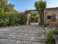 Majorca's Agricultural Setting in the Balearic Islands