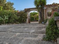 Majorca's Agricultural Setting in the Balearic Islands