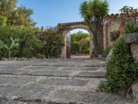 Majorca's Agricultural Setting in the Balearic Islands