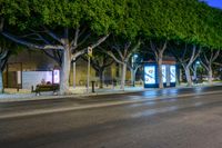 Nighttime City Lights in Málaga