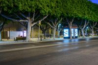 Nighttime City Lights in Málaga