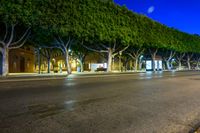 Nighttime City Lights in Málaga