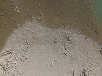 a red and black kite sitting in the sand at the edge of some water and some rocks