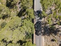 the car rides on the narrow road between the trees, top down view aerial view