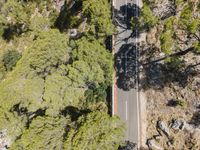 the car rides on the narrow road between the trees, top down view aerial view