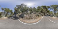 a fish eye lens shot of a winding road, with trees and bushes around the curve