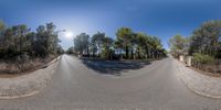 the 360 - angle view of a curved street in a forest area with a traffic light