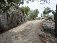 large rocks at the side of a road surrounded by green trees and rocks with grass and pine branches