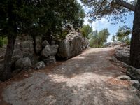 large rocks at the side of a road surrounded by green trees and rocks with grass and pine branches