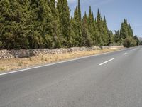 Mallorca: Clear Sky Daytime Landscape