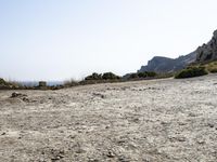 Mallorca Coastal Beach under Clear Sky