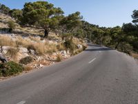 the empty road is surrounded by brush and rocks in the mountains behind the trees and the dirt