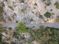 a car on the road between a mountain and evergreen forest at the bottom of a cliff