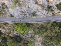 a car on the road between a mountain and evergreen forest at the bottom of a cliff