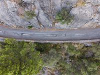 a car on the road between a mountain and evergreen forest at the bottom of a cliff