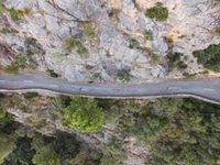 a car on the road between a mountain and evergreen forest at the bottom of a cliff