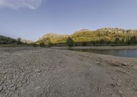 an empty lot with water and rocky surface and small tree lined land near the shore