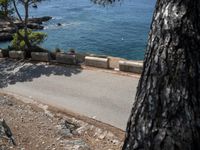 Mallorca Highway: A High View of the Ocean and Stunning Nature