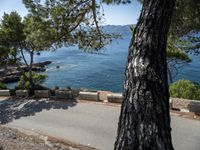 Mallorca Highway: A High View of the Ocean and Stunning Nature