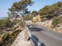 Mallorca Landscape: A Breathtaking View of Mountains and Nature