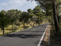 this is a photo of a road going through the woods at the top of a hill