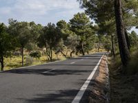 this is a photo of a road going through the woods at the top of a hill