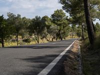 this is a photo of a road going through the woods at the top of a hill