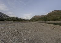 an empty river sits between some mountains, and a few trees are planted along the bank