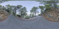 a 360 - angle view shows the mountain road below it with trees and bushes at either end