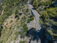 a winding mountain road surrounded by trees in the mountainside near town of vardi, greece