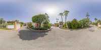 two different sizes of street in front of an apartment complex with palm trees and bushes