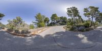 a road with trees, dirt and rocks, on a sunny day, from a fisheye