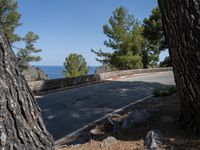 A Road in Mallorca: A Clear Sky Day