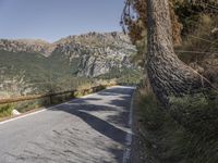 a view down a road from a cliff with trees and a rock formation behind it