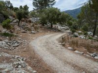 A Road Through Mallorca's Mountain Landscape