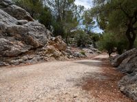 Mallorca Road Trip: Exploring the Mountains