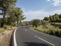 the road is made out of asphalt with trees on both sides of it and a bright blue sky above