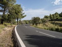 the road is made out of asphalt with trees on both sides of it and a bright blue sky above