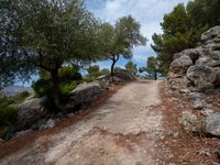 a road with some rocks and trees near it, with rocks to side of road