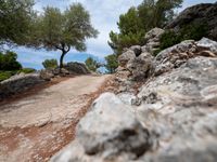 a road with some rocks and trees near it, with rocks to side of road