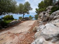 a road with some rocks and trees near it, with rocks to side of road