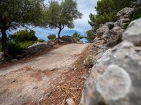 a road with some rocks and trees near it, with rocks to side of road