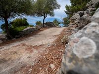 a road with some rocks and trees near it, with rocks to side of road