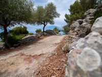 a road with some rocks and trees near it, with rocks to side of road