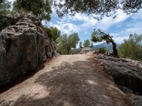 a road passing between two large rock walls with a tree on one side and mountains in the other