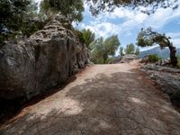 a road passing between two large rock walls with a tree on one side and mountains in the other