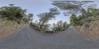 two sides by side photos of a road, a curve and some trees with leaves