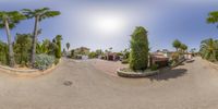 a fish eye lens view of an outside area with some palm trees and bushes and people on a sidewalk