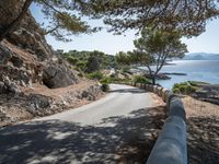 a narrow road winds away from the water, surrounded by trees and cliffs, in a forested area