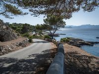 a narrow road winds away from the water, surrounded by trees and cliffs, in a forested area